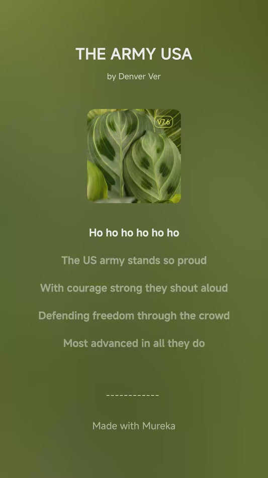 Song:The US Army 🍏
